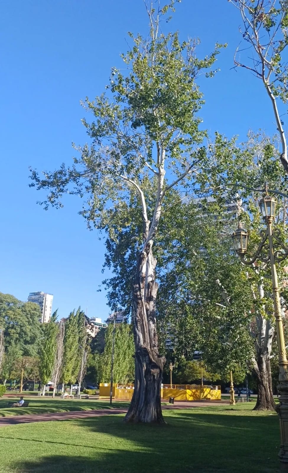 Especie Uruguay