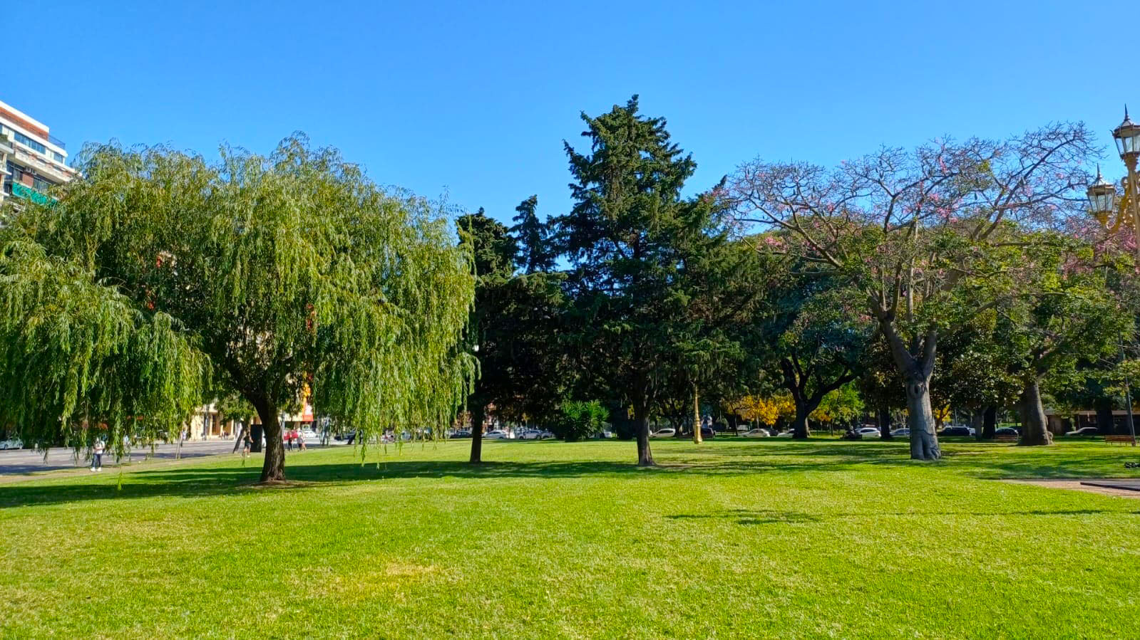 Imagen de galería 1