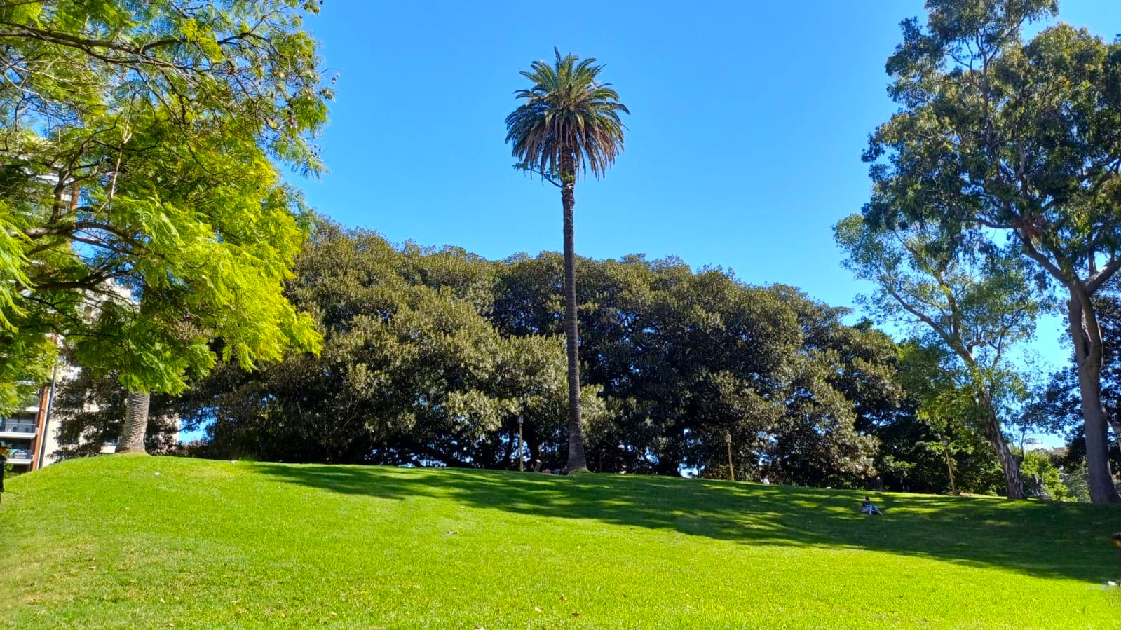 Imagen de galería 1