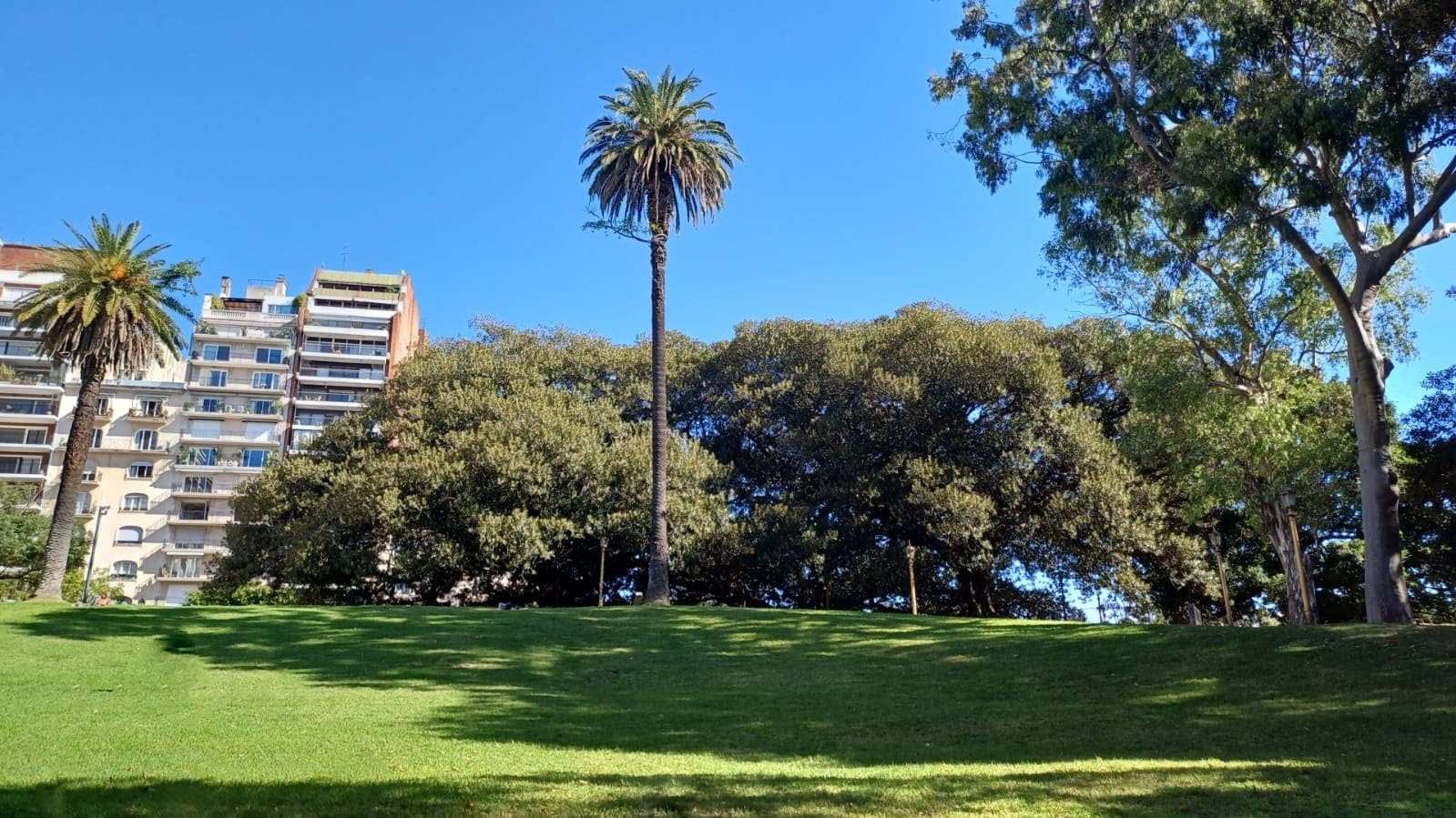 Plaza San Martín de Tours