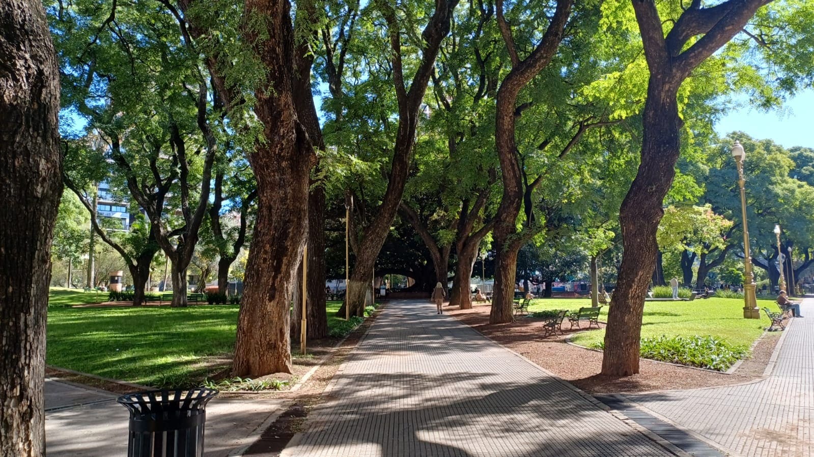 Imagen de galería 1