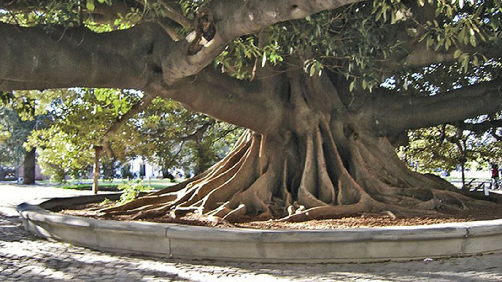 Plazoleta Juan XXIII