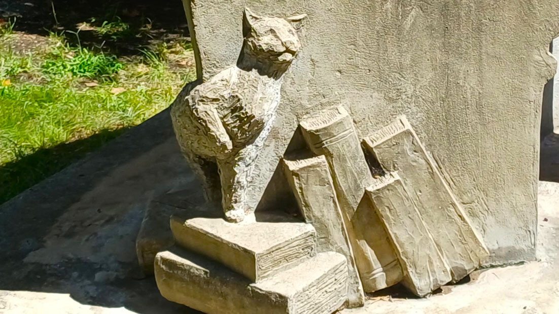 Imagen de galería 1