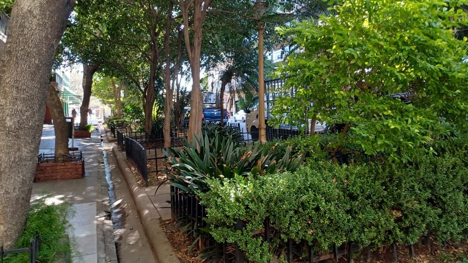 Paseo Dr. Emilio J. Hardoy