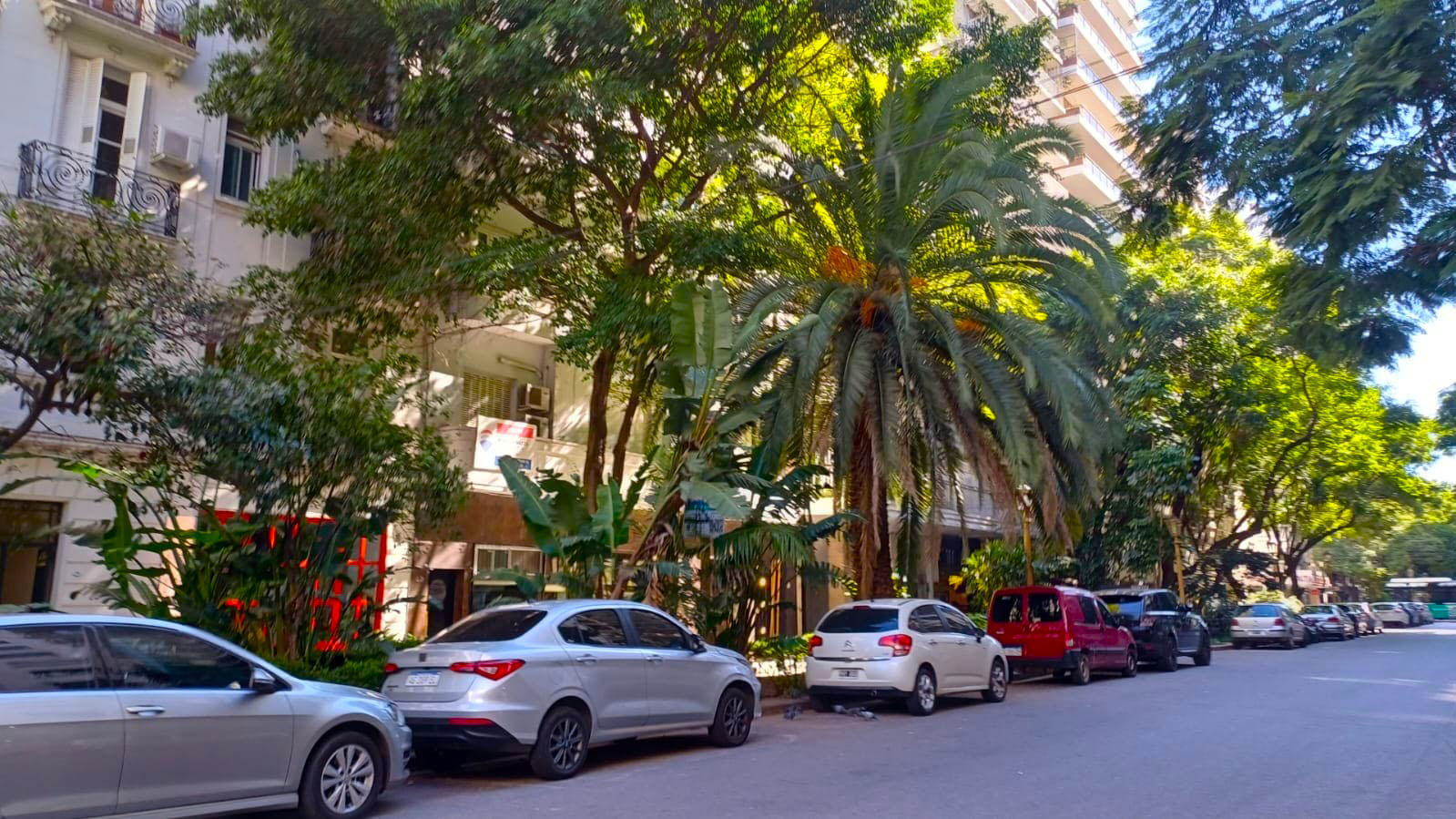 Imagen de galería 2