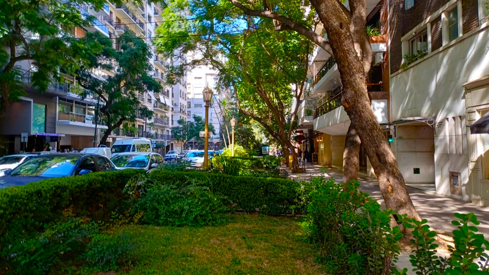 Imagen de galería 4