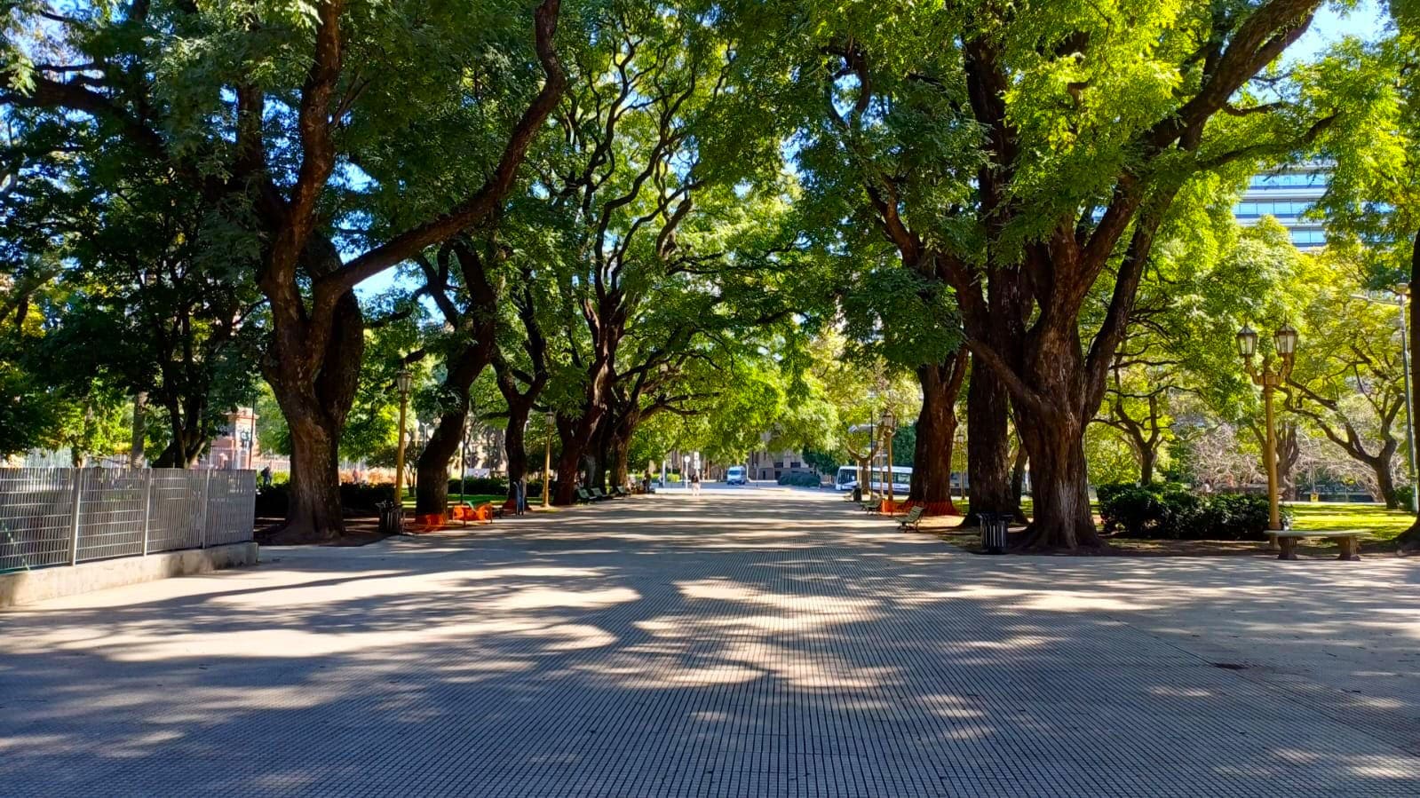 Imagen de galería 1