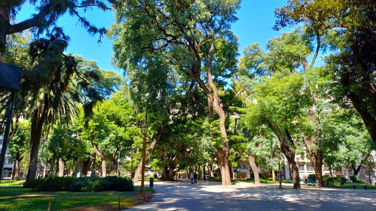 Imagen de galería 1