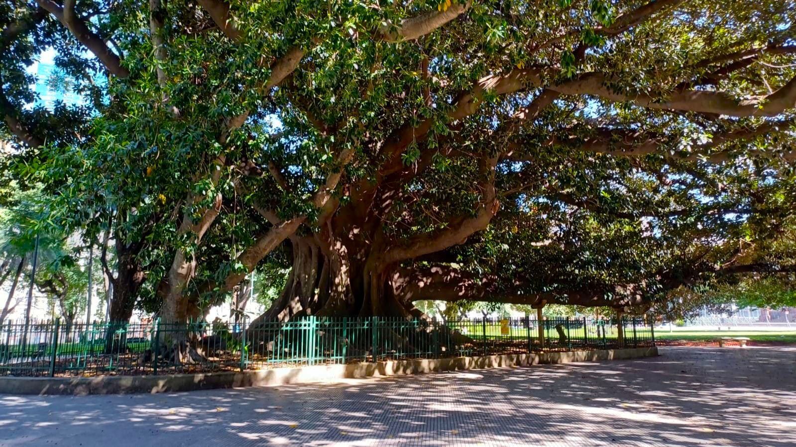 Imagen de galería 1