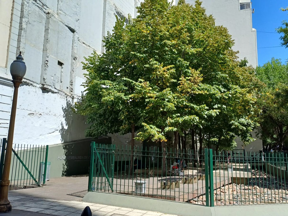 Venus Citerea
