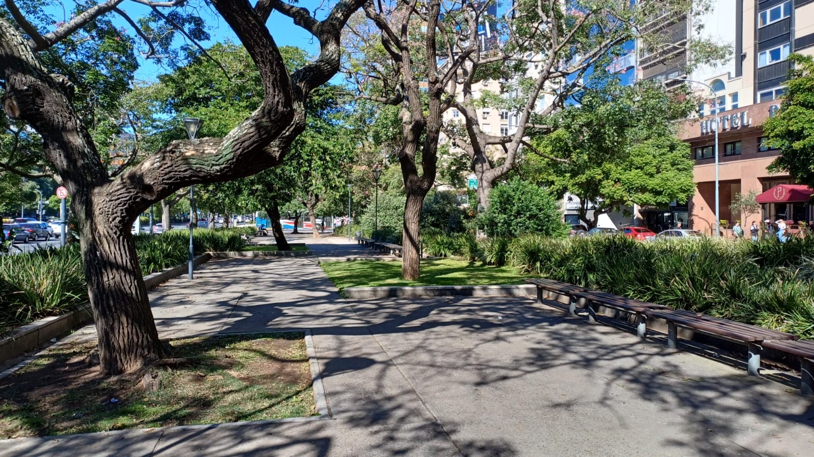 Imagen de galería 1