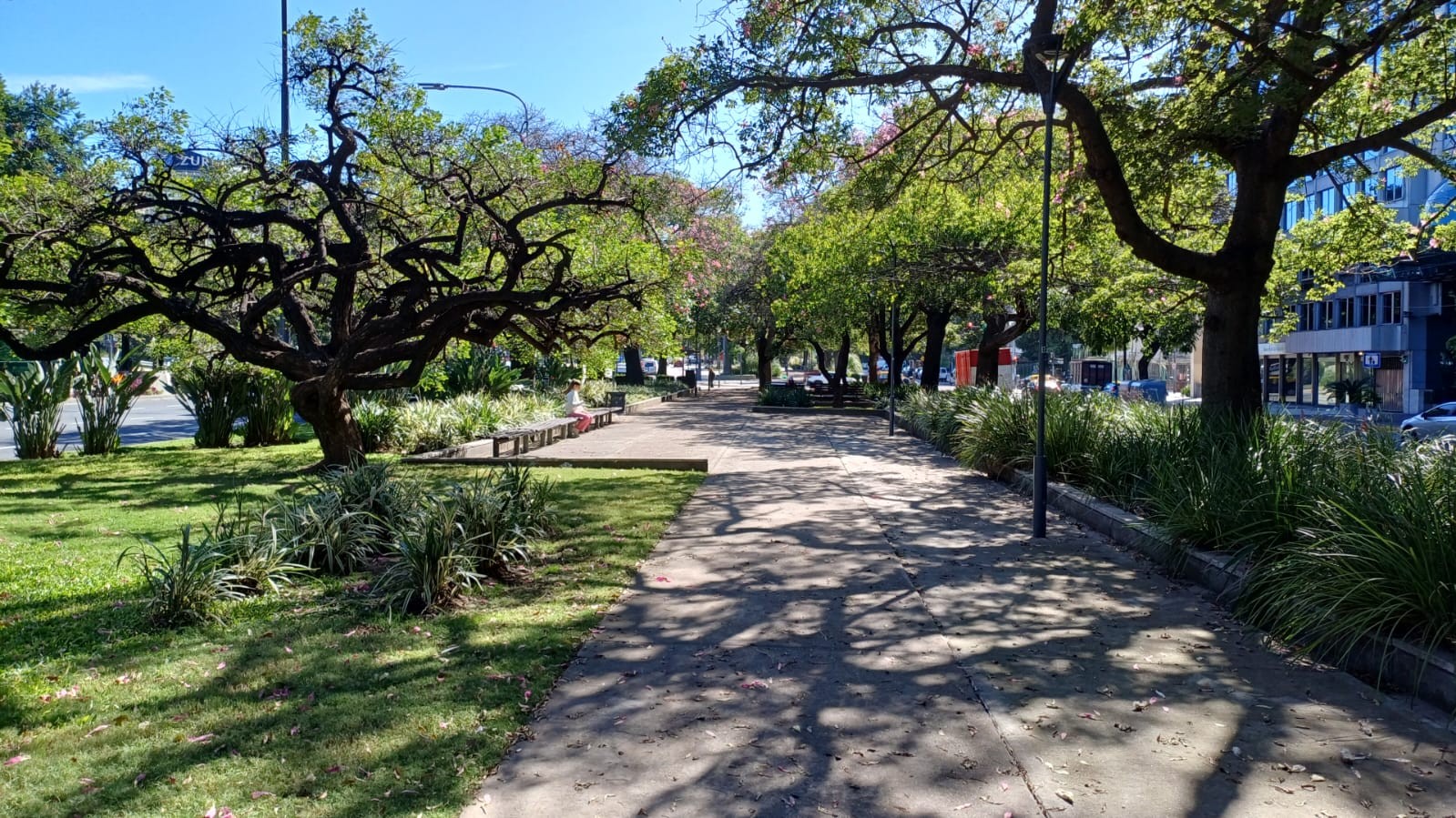 Imagen de galería 1