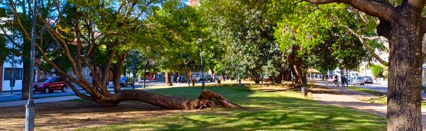 En la Av. García del Río