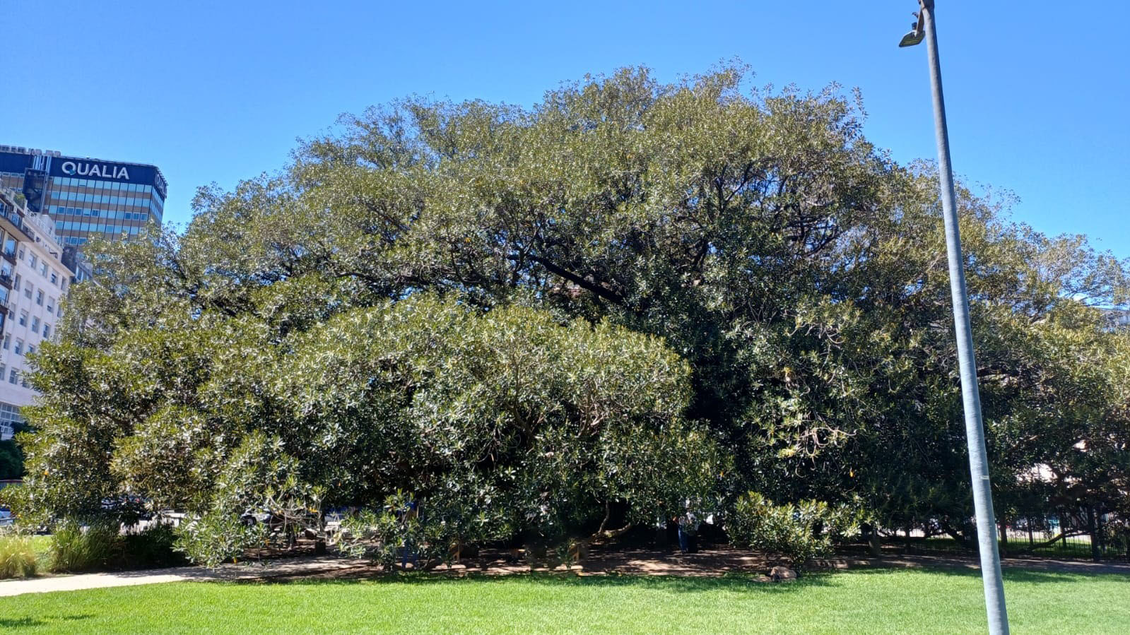 Gomero Sur Vista General