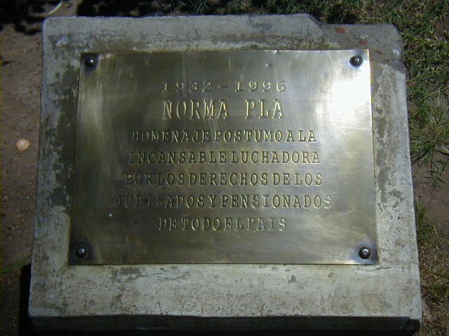 Árbol de Norma Plá 02