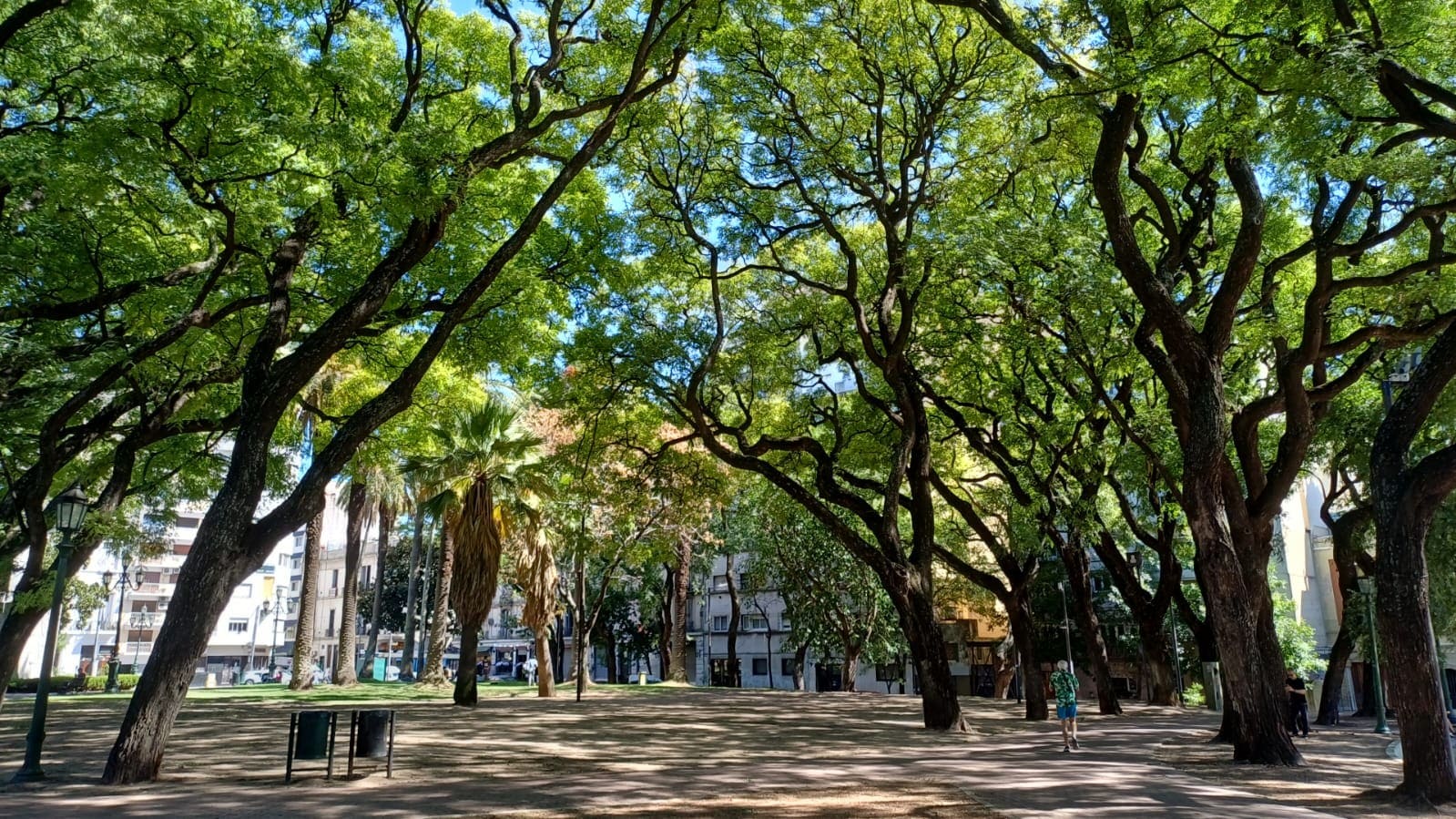 Parque Lezama