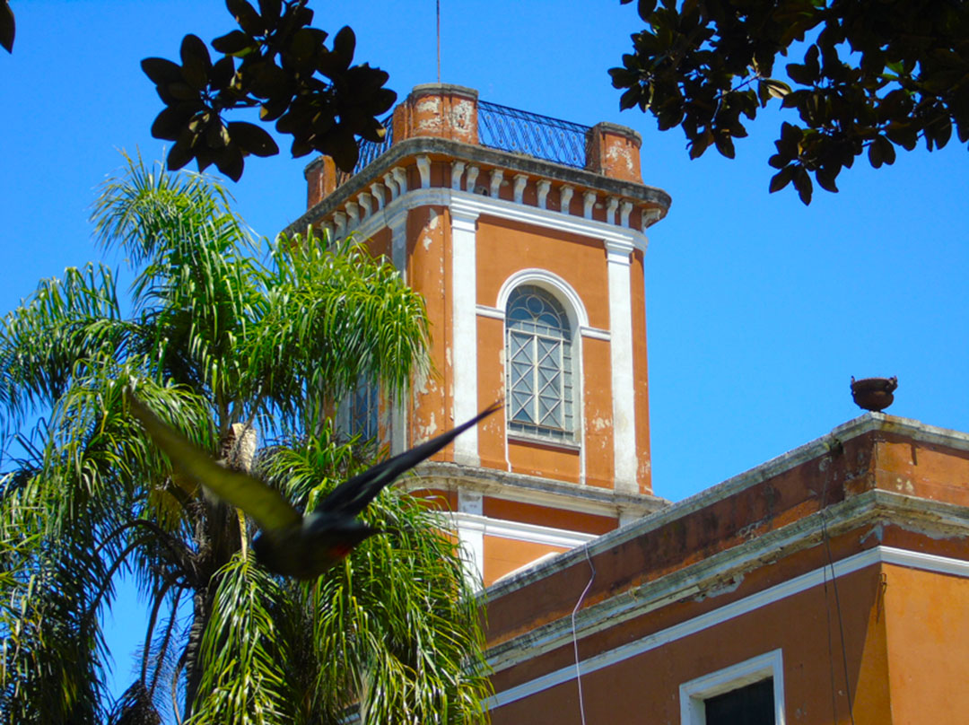 Imagen de galería 8