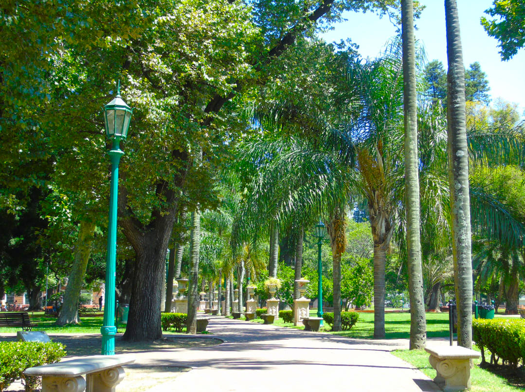 Imagen de galería 1