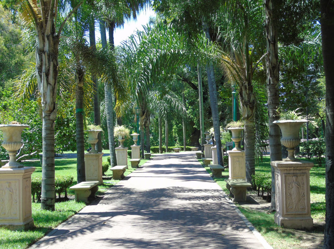 Imagen de galería 1