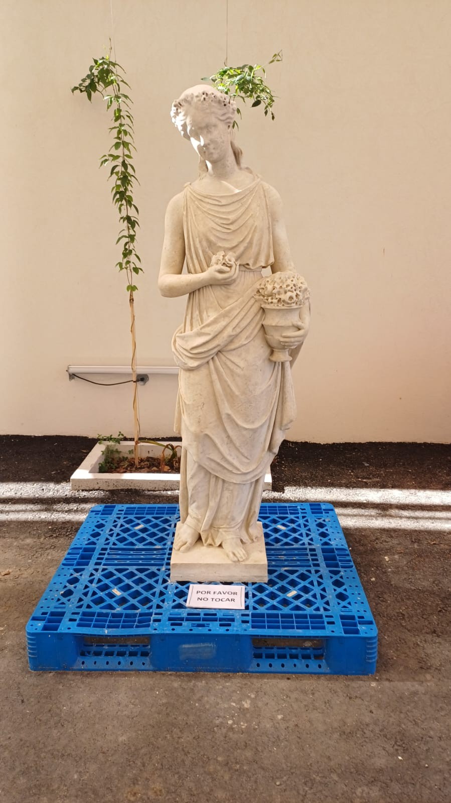 La Primavera
