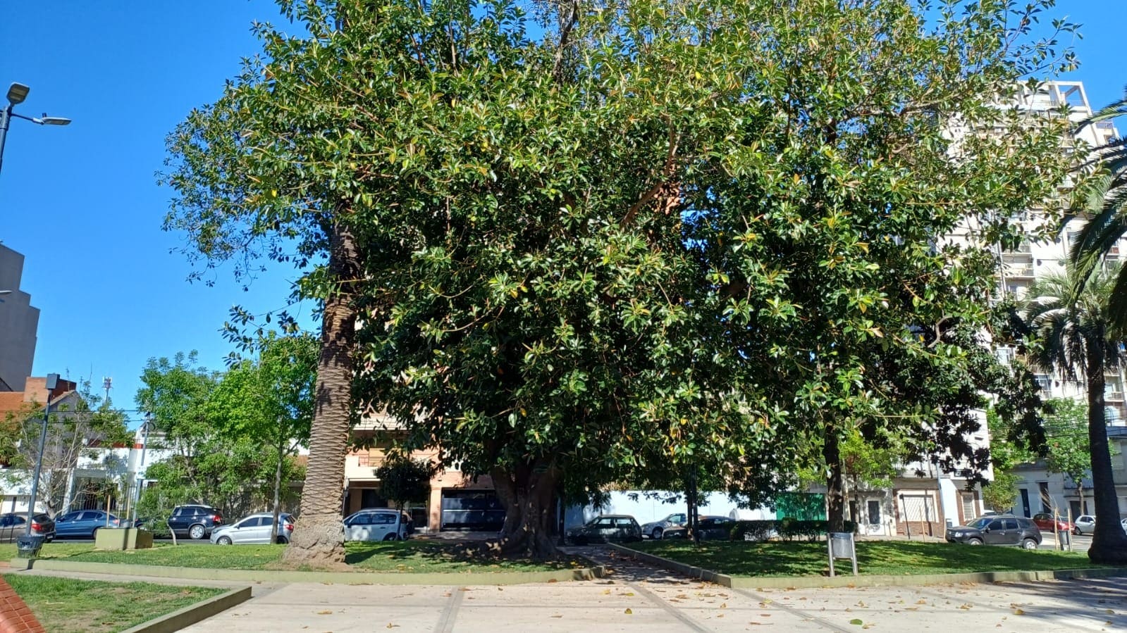 Plaza Coronel Ramón L. Falcón
