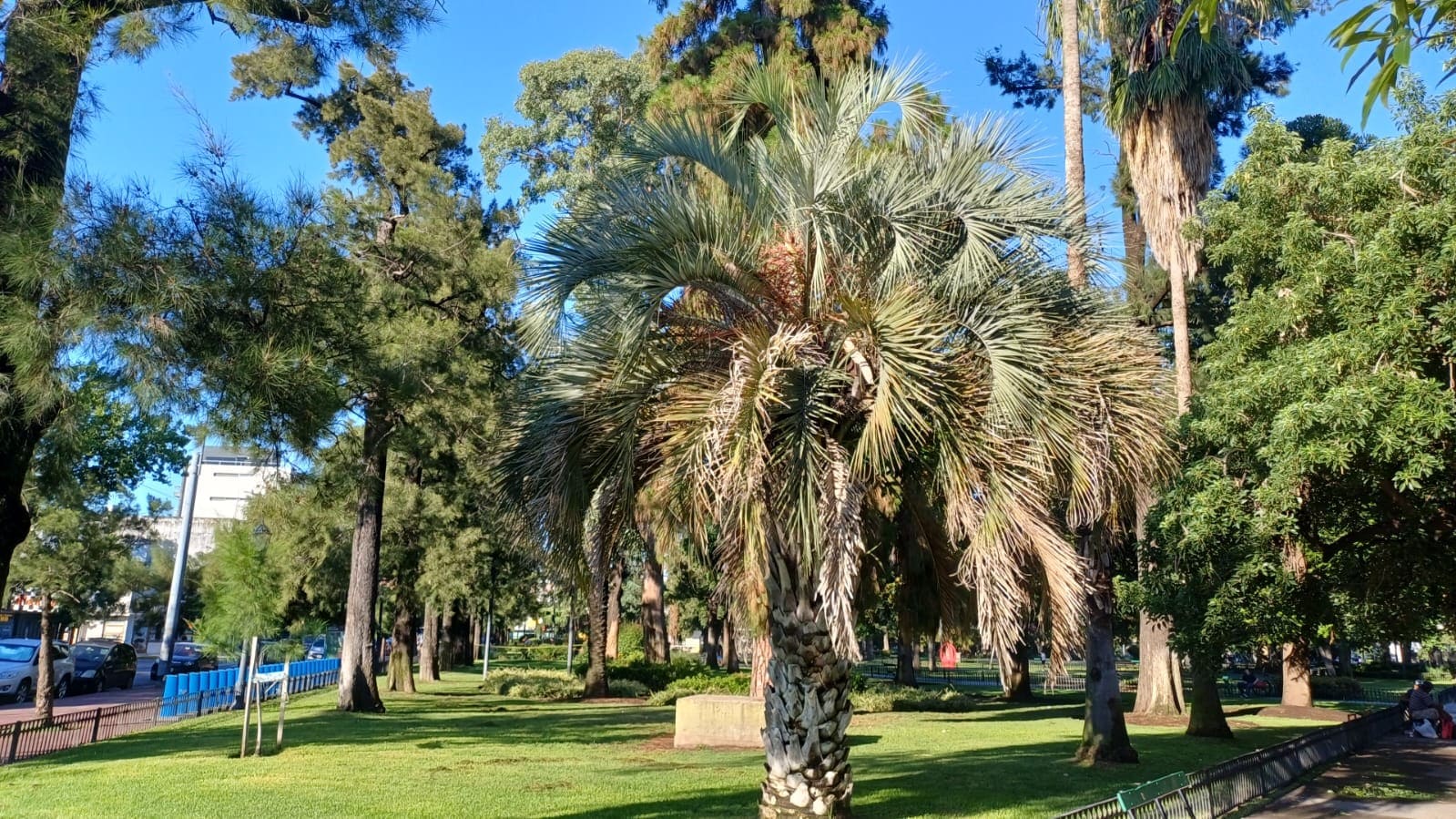 Imagen de galería 1