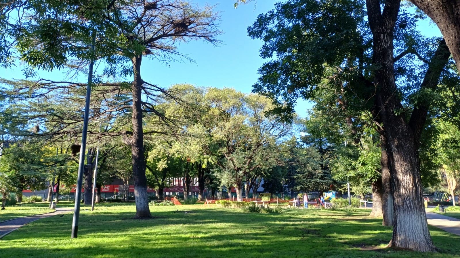 Imagen de galería 1