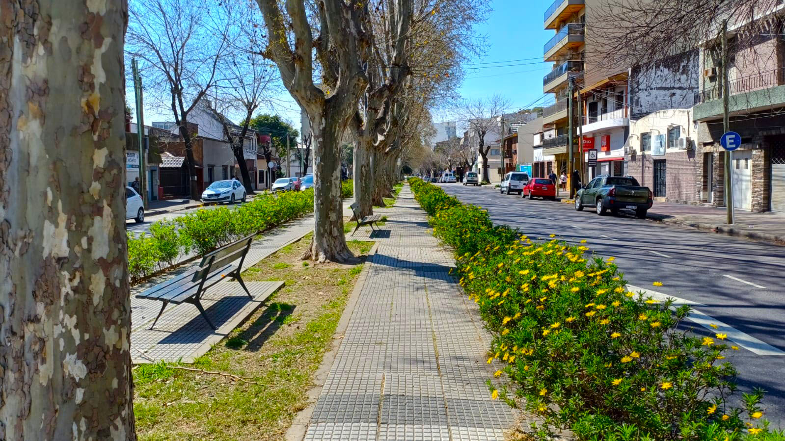 Cantero