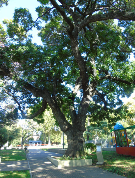 Artigas 1