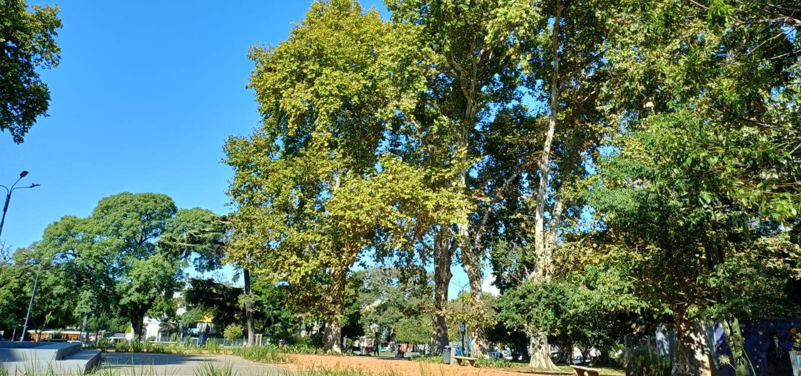 Plaza 25 de Agosto
