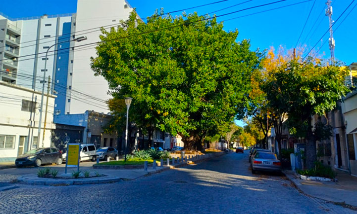 Cantero Don Fulgencio