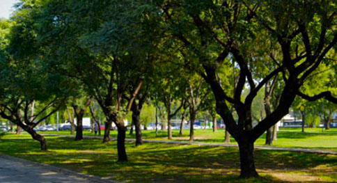 Cantero Mayor Bernardo Alberte