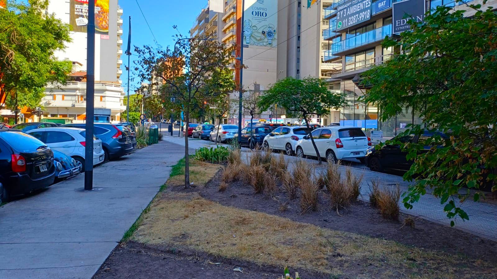 Imagen de galería 1