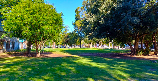 Petrona C. de Gandulfo