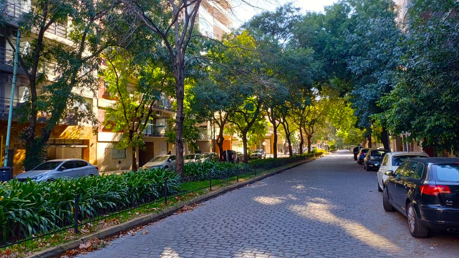 Descripción de la imagen